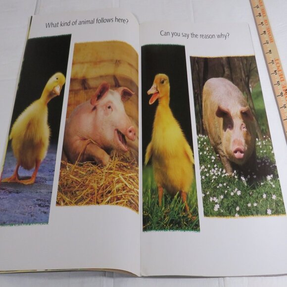 What Comes Next BIG BOOK (almost 2 feet tall) with teacher pages CLASSROOM SIZE - Picture 4 of 16